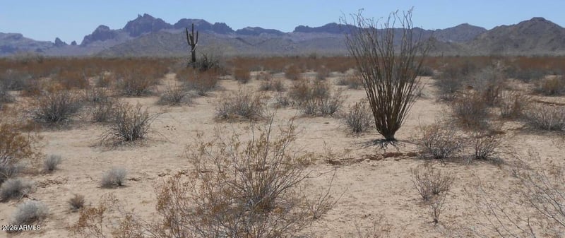 56366 W Centennial Rd #-, Tonopah, AZ 85354