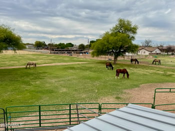 564 E Morgan Dr, Gilbert, AZ 85295