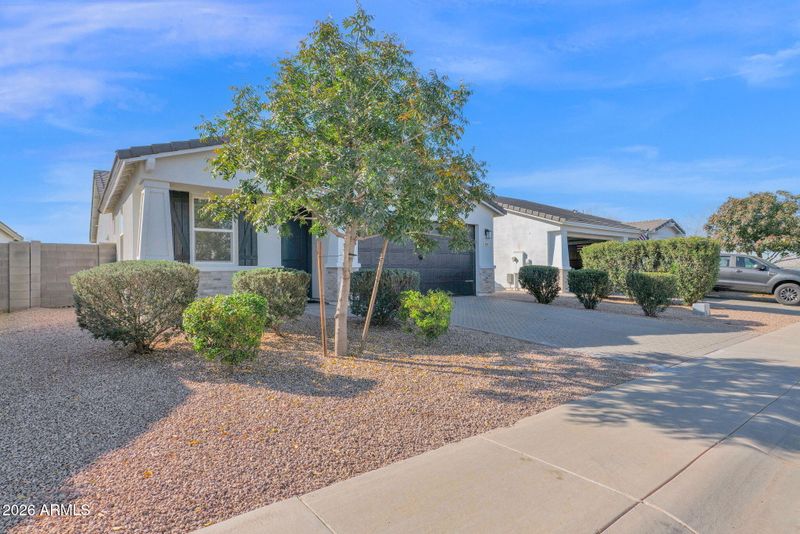 567 E Hazelnut Ln, San Tan Valley, AZ 85140