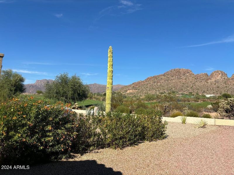 5671 S Juniper Hills Dr, Gold Canyon, AZ 85118