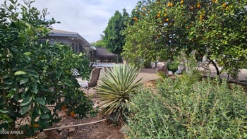 5704 Dodge St, Mesa, AZ 85205