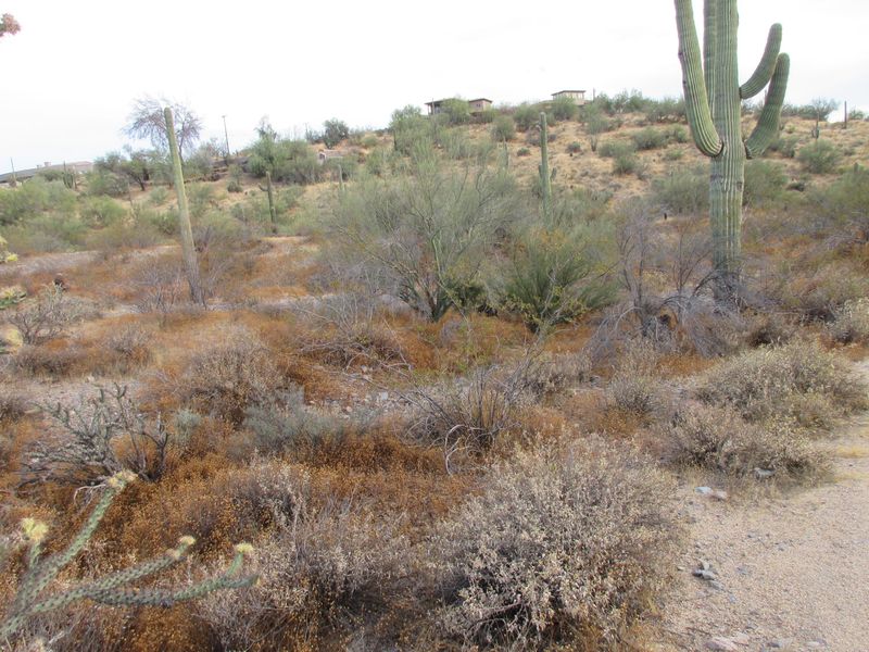 5713 E Saguaro Rd, Cave Creek, AZ 85331