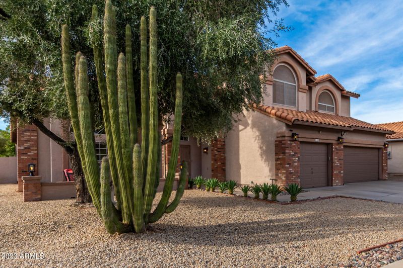 580 N Cholla St, Chandler, AZ 85224