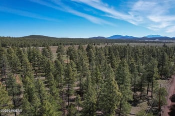 581 Cooper Ranch Rd Lot 4, Williams, AZ 86046