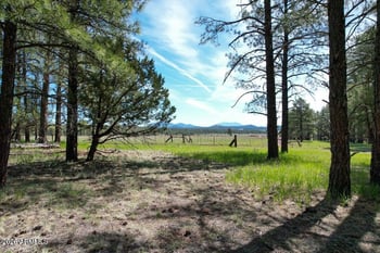 581 Cooper Ranch Rd Lot 4, Williams, AZ 86046