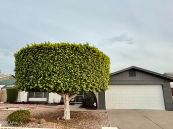 5817 Tierra Buena Ln, Glendale, AZ 85306