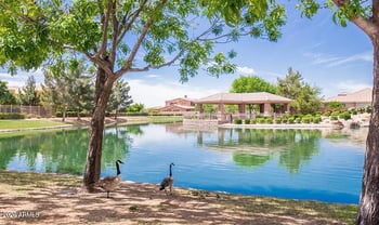 582 Zion Pl, Chandler, AZ 85248