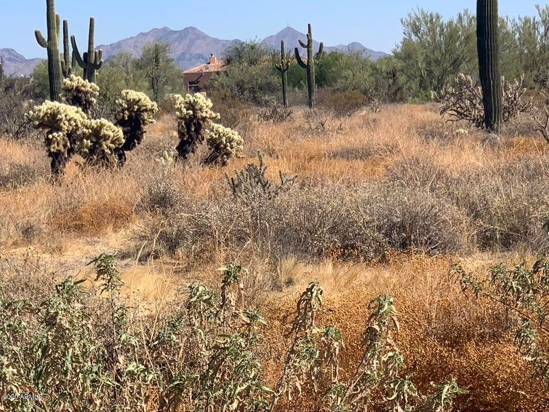 5883 E Red Bird Rd #-, Scottsdale, AZ 85266