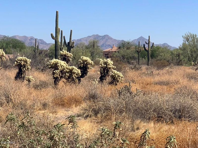 5883 E Red Bird Rd #-, Scottsdale, AZ 85266