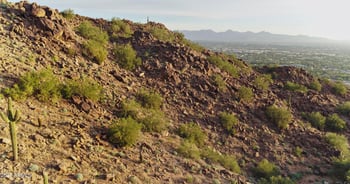 5900 Cholla Ln #-, Paradise Valley, AZ 85253