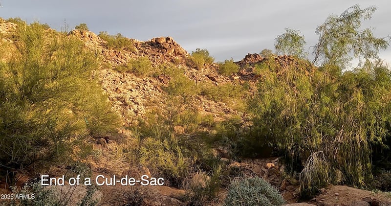 5900 Cholla Ln #-, Paradise Valley, AZ 85253
