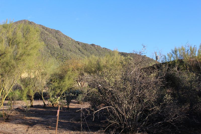 5901 E Tally Ho Dr #28, Cave Creek, AZ 85331