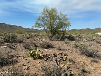 59xx Table Mesa Rd #2, New River, AZ 85087
