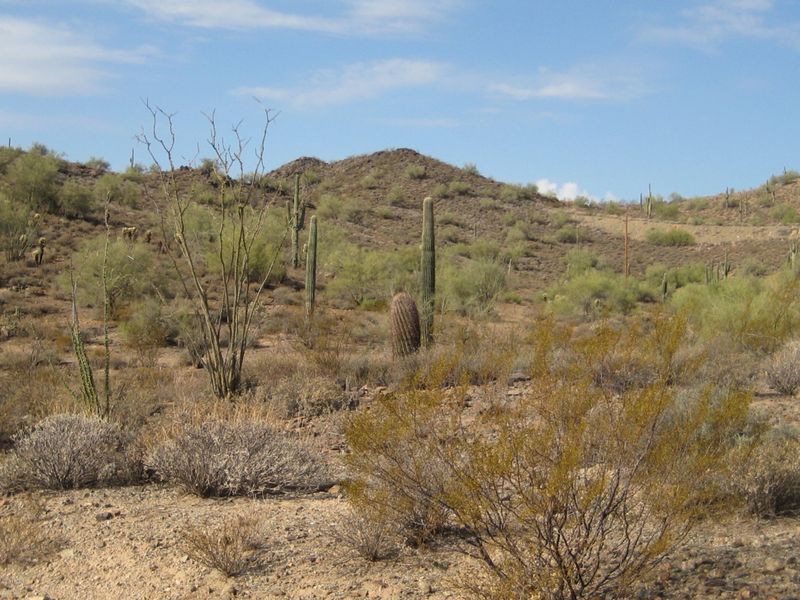 5xx W Rock View Rd #105, Phoenix, AZ 85085