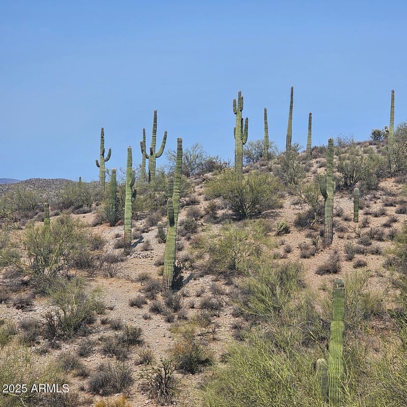 5xxxx 292nd Ave, Wickenburg, AZ 85390