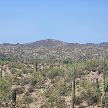 5xxxx 292nd Ave, Wickenburg, AZ 85390