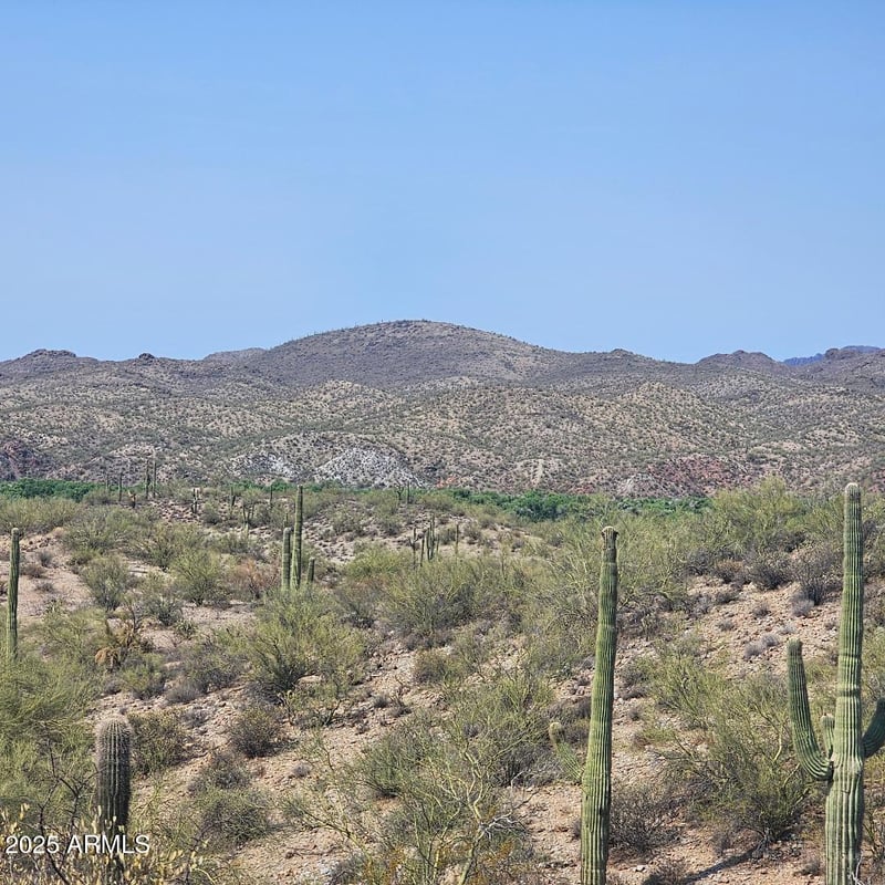 5xxxx 292nd Ave, Wickenburg, AZ 85390