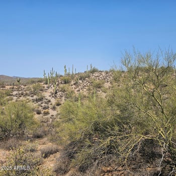 5xxxx 292nd Ave, Wickenburg, AZ 85390