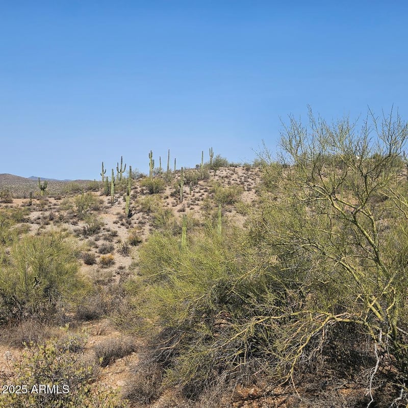 5xxxx 292nd Ave, Wickenburg, AZ 85390