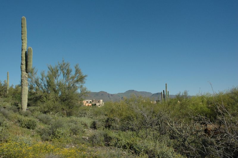5XXXX E Paseo Dulce Dr #P, Cave Creek, AZ 85331
