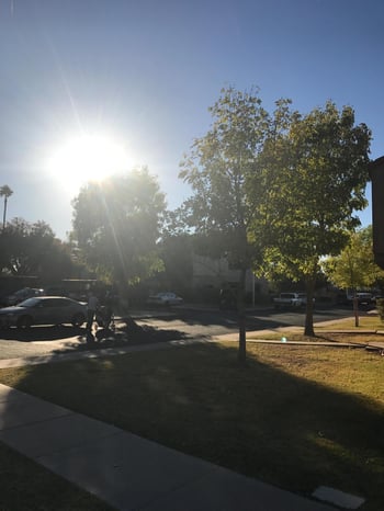 600 S Dobson Rd #156, Mesa, AZ 85202