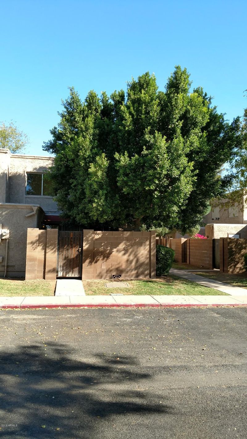600 S Dobson Rd #175, Mesa, AZ 85202