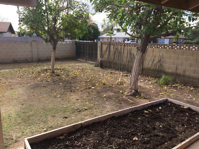 601 E Oakland St, Chandler, AZ 85225