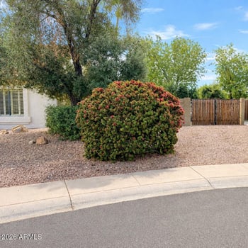 601 Silver Creek Rd, Gilbert, AZ 85296