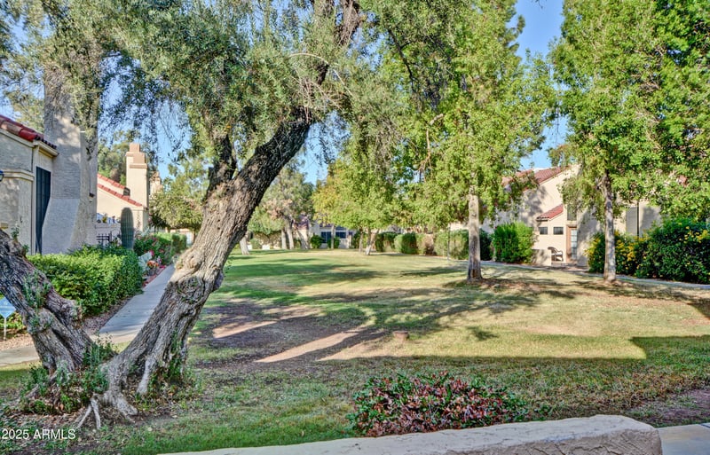 602 May -- #17, Mesa, AZ 85201