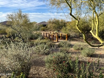 6029 Calle De Pompas --, Cave Creek, AZ 85331