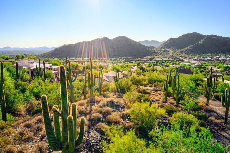 6049 E Tandem Rd #10, Cave Creek, AZ 85331