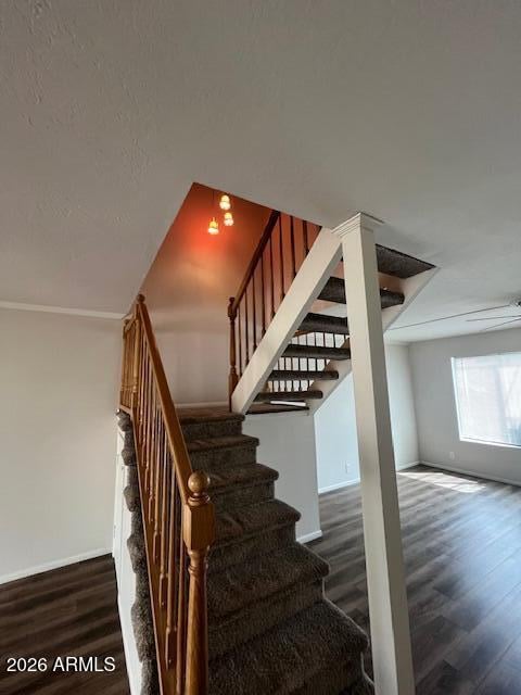 612 Lesueur Cir, Mesa, AZ 85203
