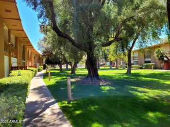 6125 E Indian School Rd #Apt 171, Scottsdale, AZ 85251