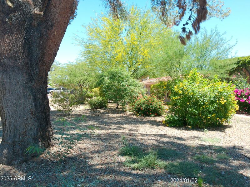 6139 E Voltaire Ave, Scottsdale, AZ 85254