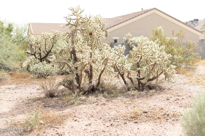6148 S Sage Way #178, Gold Canyon, AZ 85118