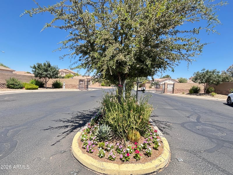 62 Valencia Pl, Chandler, AZ 85226