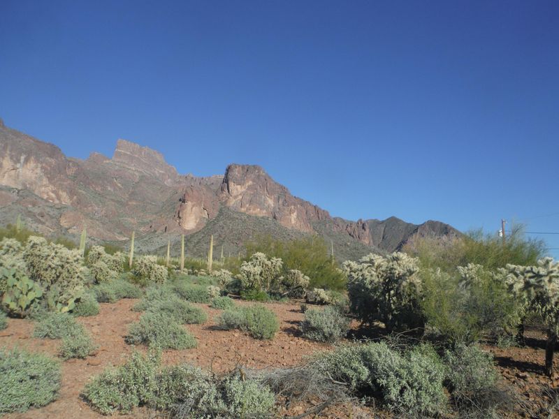 6200 E Roundup St, Apache Junction, AZ 85119
