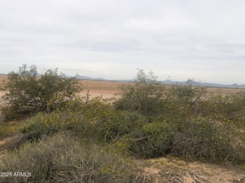 6205 379 Ave #47, Tonopah, AZ 85354