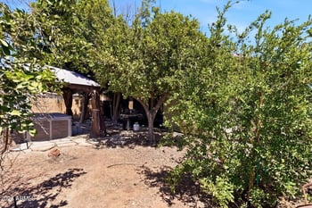 6205 Encinas Ln, Phoenix, AZ 85043