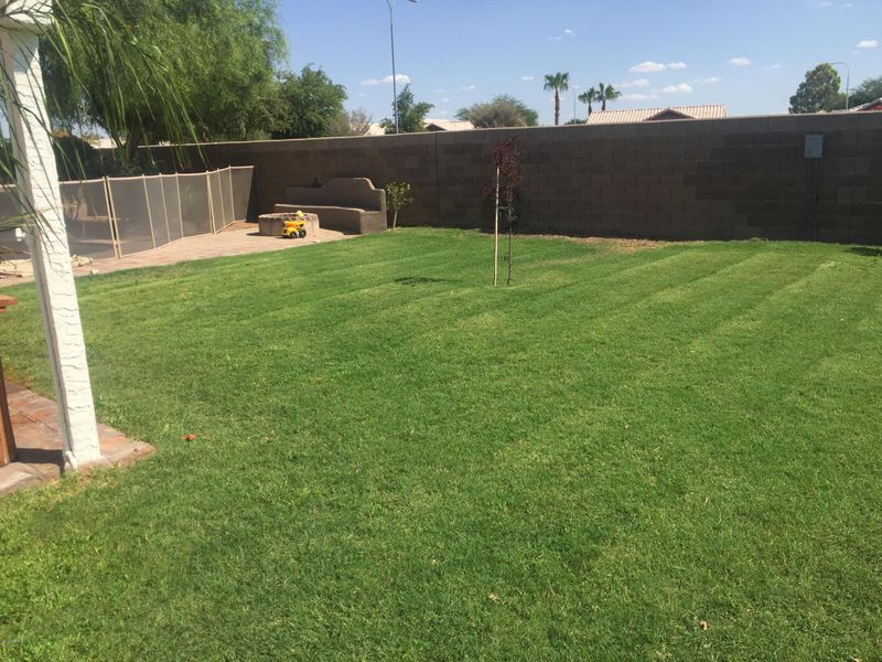 621 E Gary Dr, Chandler, AZ 85225