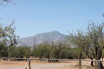 6217 Natoma Trl, Hereford, AZ 85615