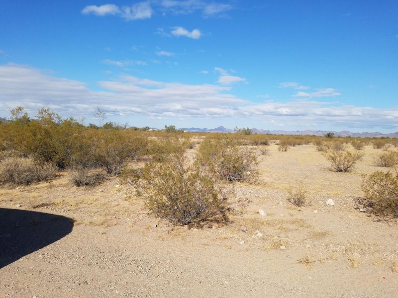 6229 N 416th Ave #919, Tonopah, AZ 85354