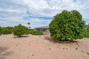 6265 E Dodge St, Mesa, AZ 85205