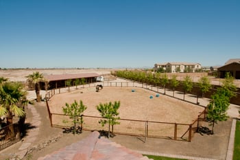 6268 S 162nd St, Gilbert, AZ 85298
