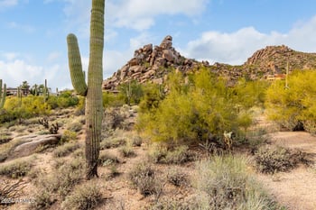 629 N Stagecoach Pass Rd #629, Carefree, AZ 85377