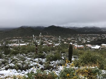 62XX Carriage Dr #-, Cave Creek, AZ 85331