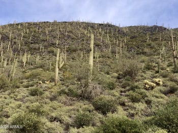 62XX Carriage Dr #-, Cave Creek, AZ 85331