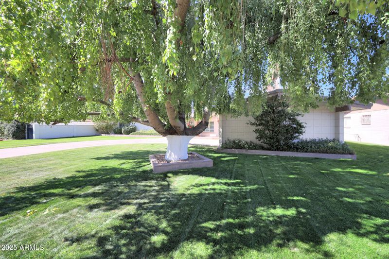 6320 N 4th Pl, Phoenix, AZ 85012