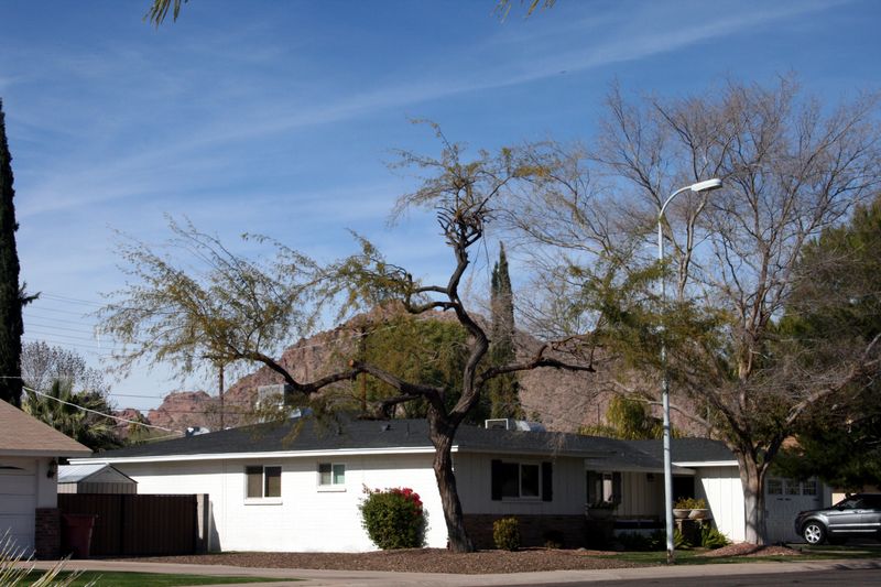 6341 E Rose Circle Dr, Scottsdale, AZ 85251