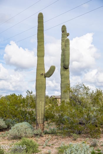 6382 Calle De Mandel Dr #'-', Scottsdale, AZ 85266